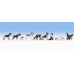 Noch 15719 - Dogs 9/